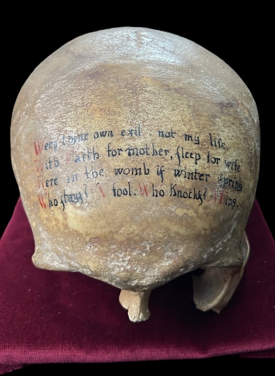 Rare Human Skull With Poem Written On The Forehead - European (english?) - 18/19th Century -photo-1