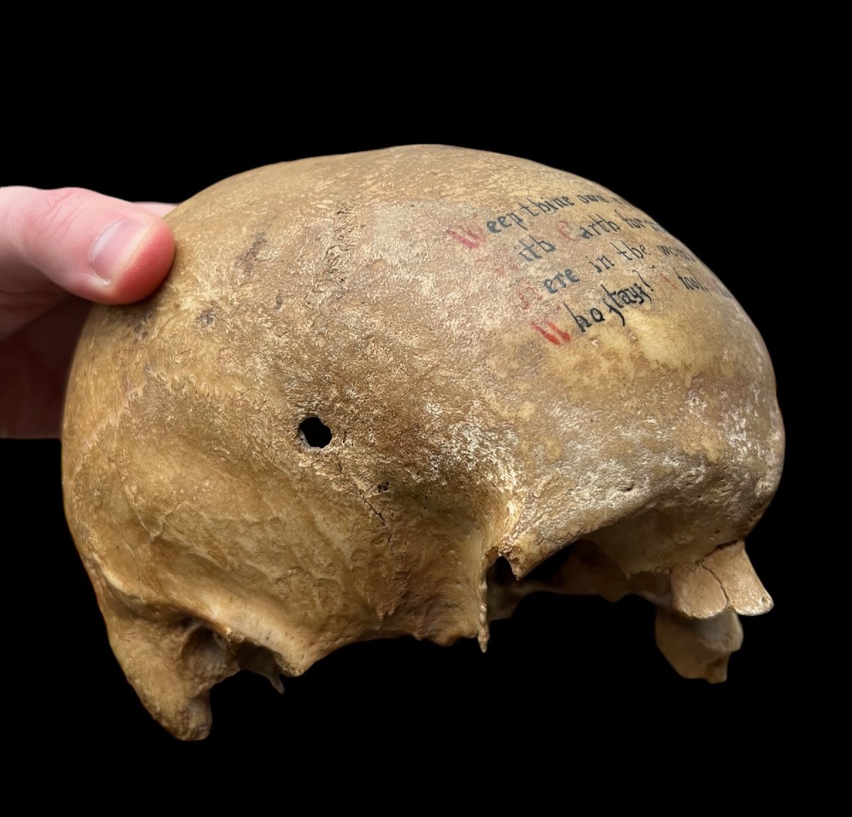 Rare Human Skull With Poem Written On The Forehead - European (english?) - 18/19th Century -photo-2