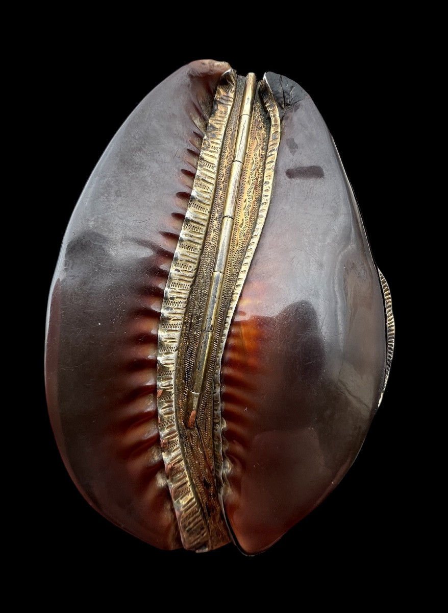 Shell Snuff Box With Sterling Silver/gilt Mount - France - Early 19th Century-photo-2