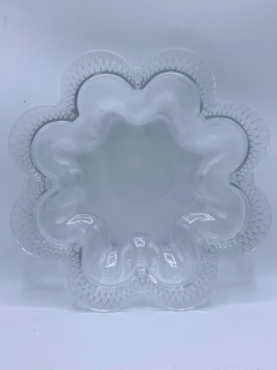 Dish, Lalique France Cup, 20th