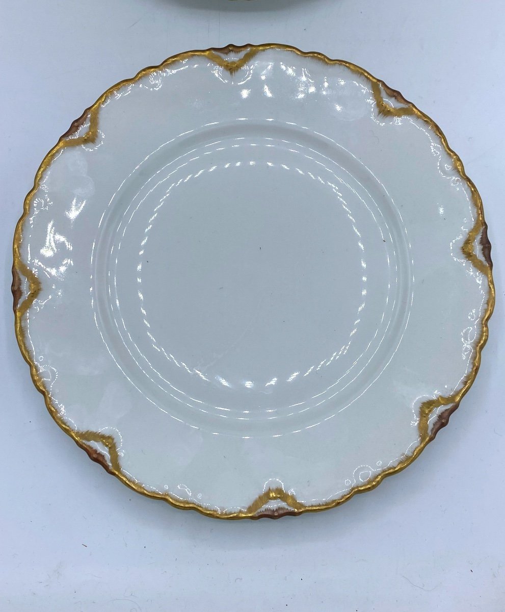 Limoges Porcelain Plates By Théodore Haviland -photo-3