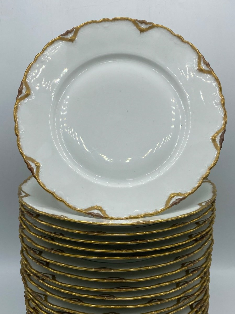 Limoges Porcelain Plates By Théodore Haviland 