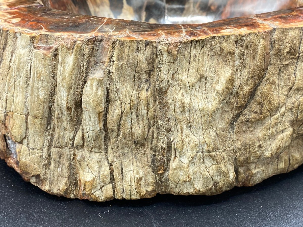 Petrified Wood Ashtray, Fossilized -photo-2