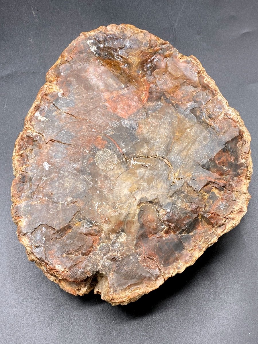 Petrified Wood Ashtray, Fossilized -photo-1