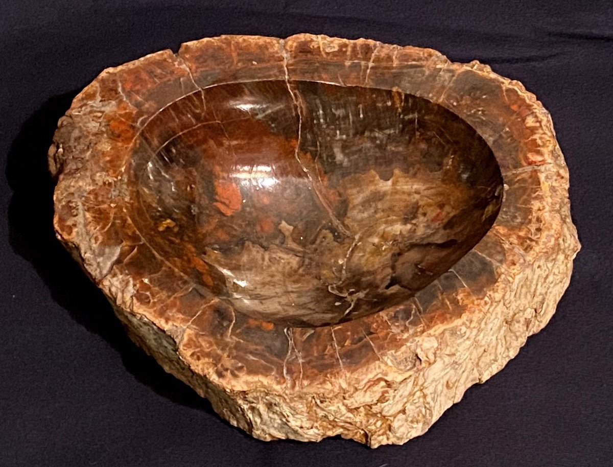 Petrified Wood Ashtray, Fossilized 