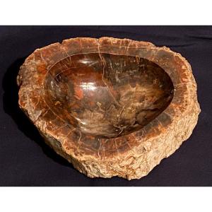 Petrified Wood Ashtray, Fossilized 