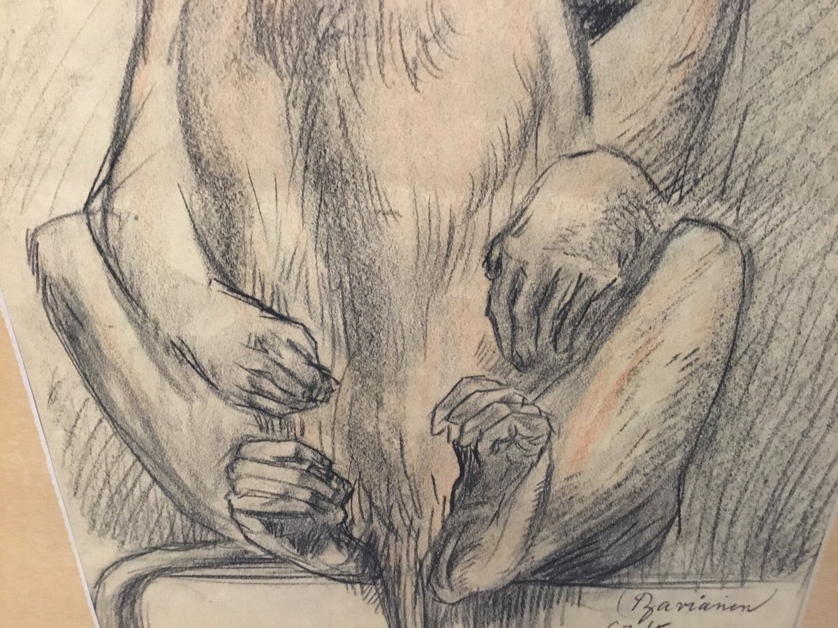 Gj Staller - Charcoal Drawing Baboon And Baby 1917-photo-3