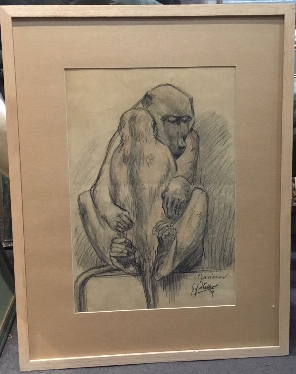 Gj Staller - Charcoal Drawing Baboon And Baby 1917