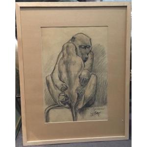 Gj Staller - Charcoal Drawing Baboon And Baby 1917