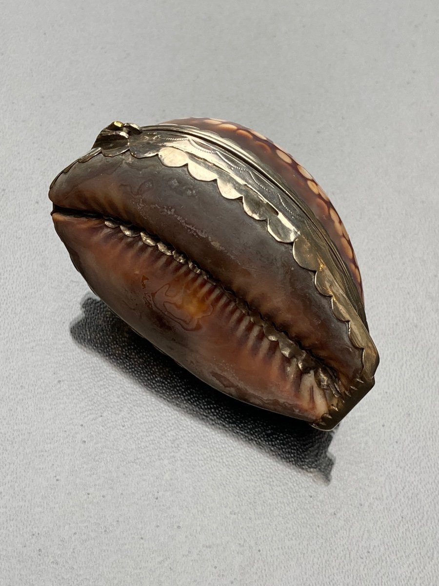 Shell And Silver Snuffbox, 18th Century -photo-4