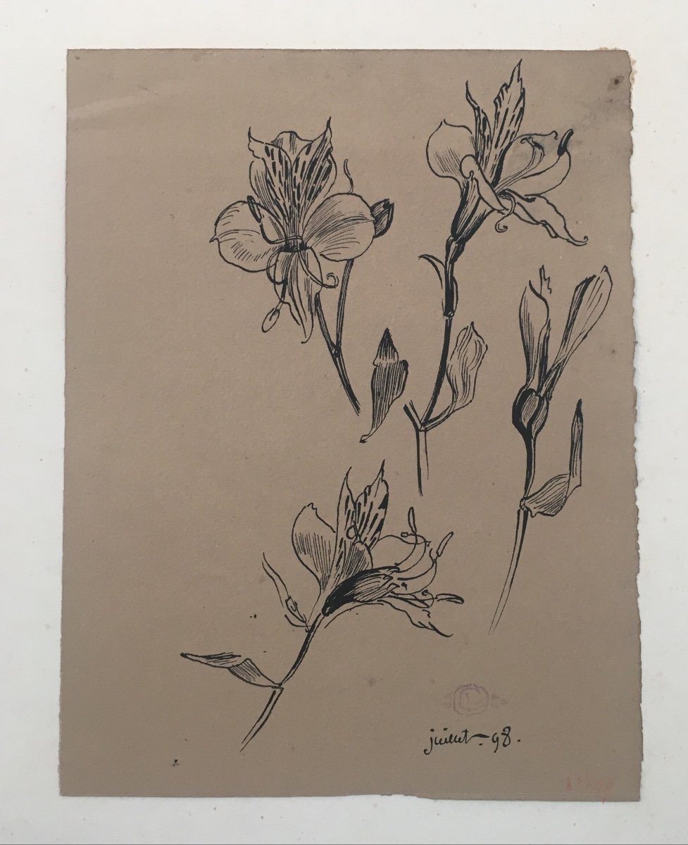 Georges Lemmen (1865-1916) Fleurs De Lys, Encre Sur Papier 