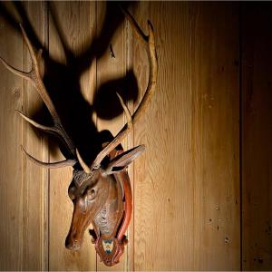 Deer Head XVIIIth Carved Wood Swiss Alps Trophy Support