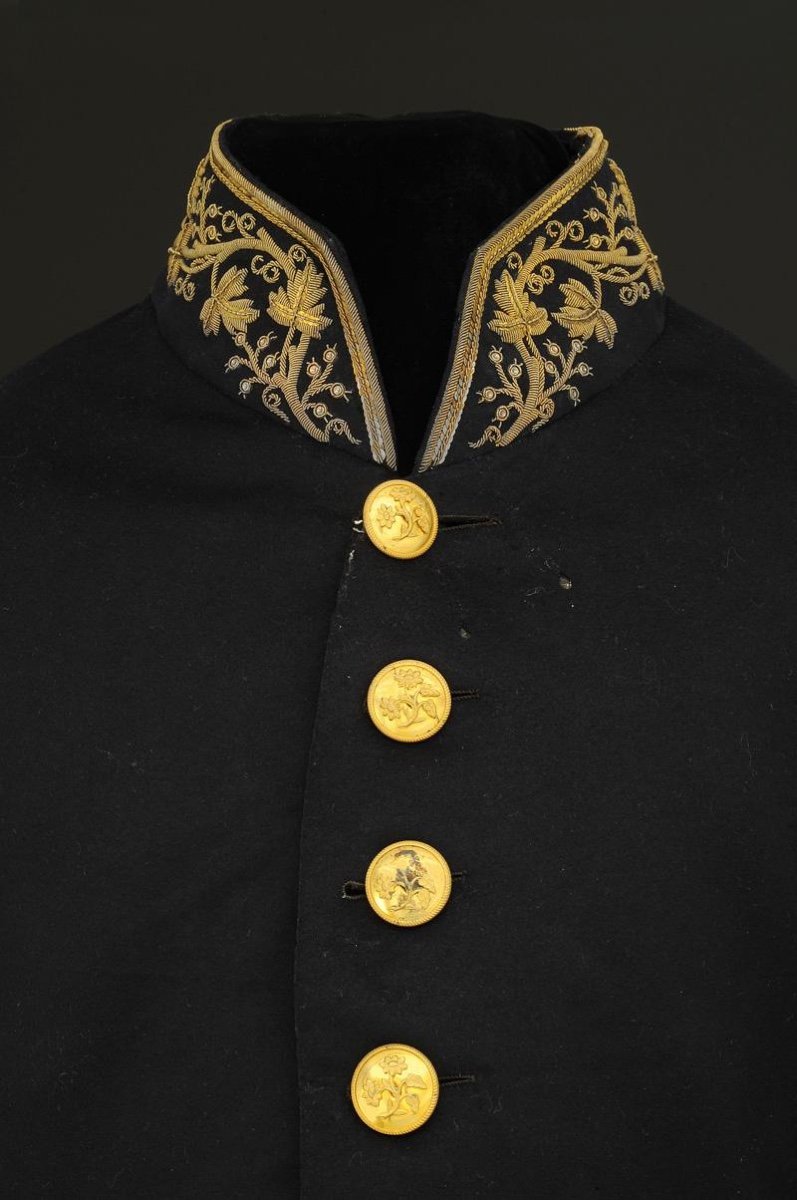 Embroidered Civil Uniform Having Belonged To Baron émile Bernard Jules Legoux, Third Republic.-photo-3