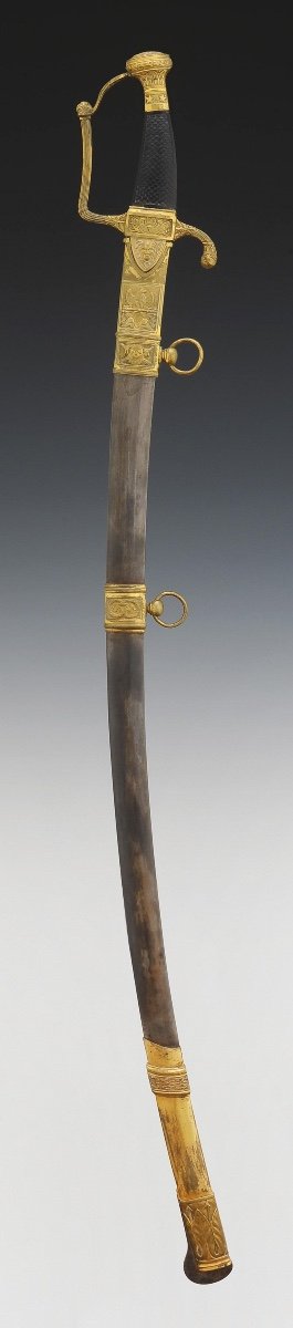 Brigadier General Officer's Saber, Model Of The 1st Vendémiaire Year XII, First Empire-photo-2