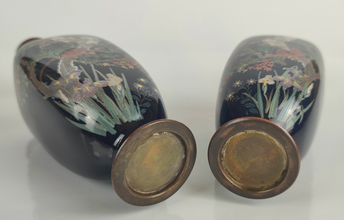 Pair Of Cloisonne Vases, Japan Meiji Period-photo-5