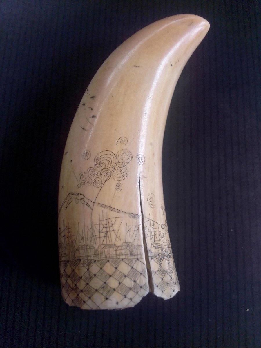 Scrimshaw Sperm Whale Tooth-photo-1