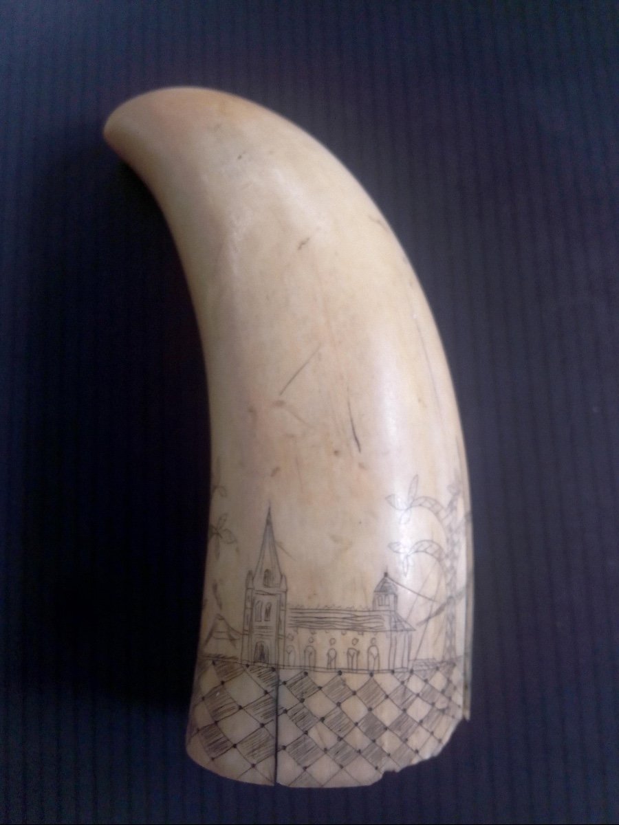 Scrimshaw Sperm Whale Tooth