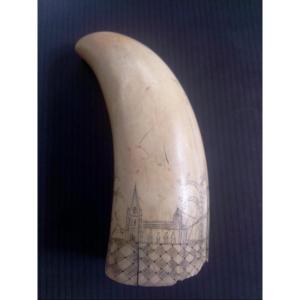 Scrimshaw Sperm Whale Tooth