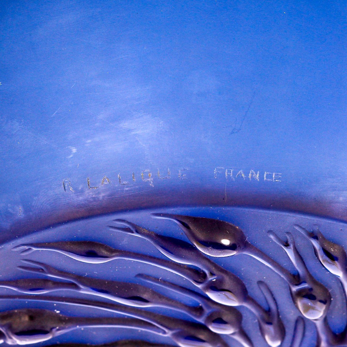 1930 René Lalique - Coupe Plat Anvers Verre Bleu Saphir-photo-2