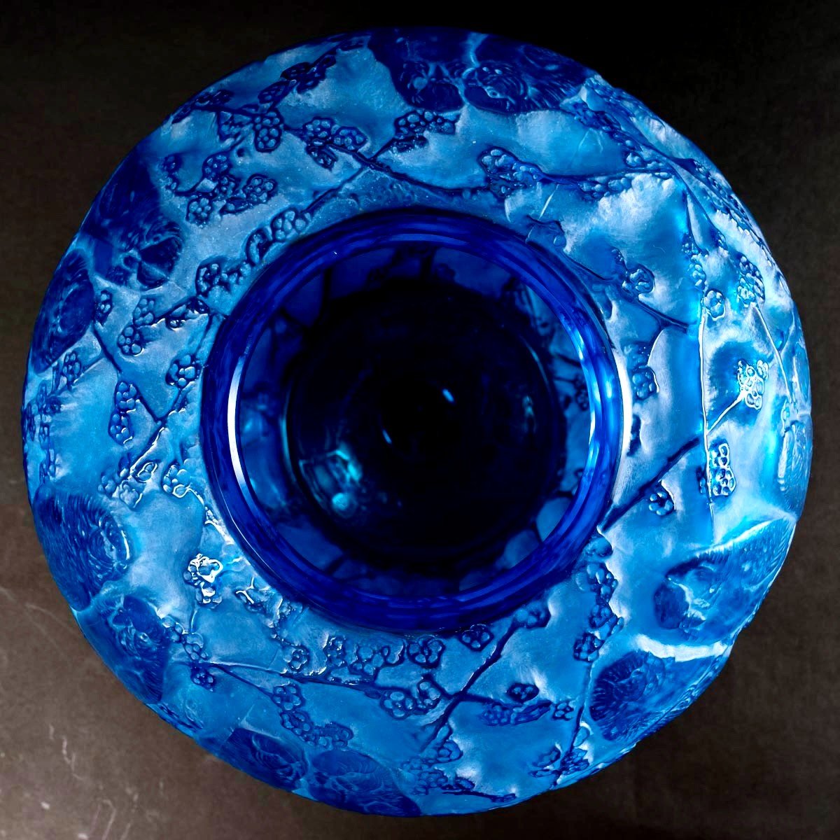 1919 René Lalique - Vase Perruches Electric Blue Glass With White Patina-photo-1