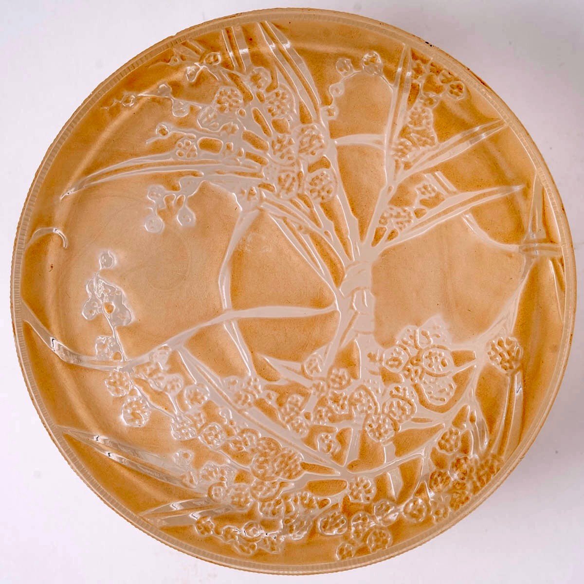 1921 René Lalique - Box Un Jardin Dans La Nuit Frosted Glass With Sepia Patina For Arys-photo-2