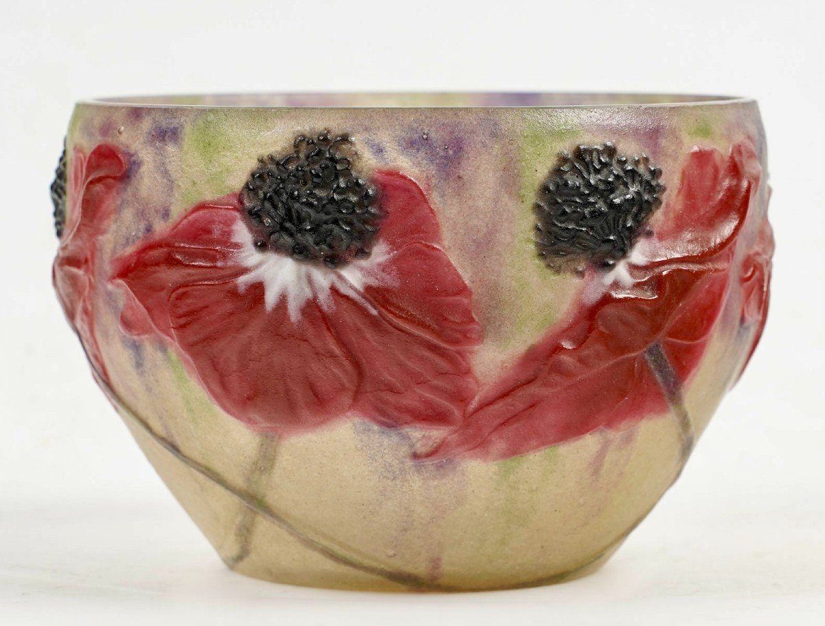 1920 Gabriel Argy Rousseau - Bowl Anemones Glass Pate De Verre-photo-2