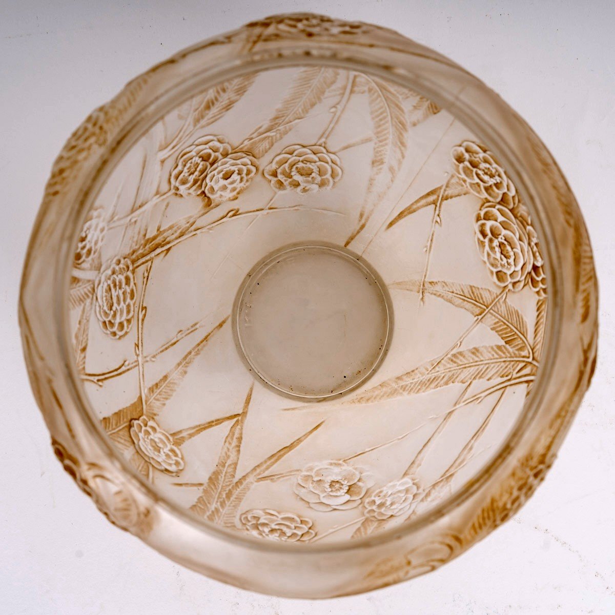 1923 René Lalique - Vase Nefliers Frosted Glass With Sepia Patina-photo-4