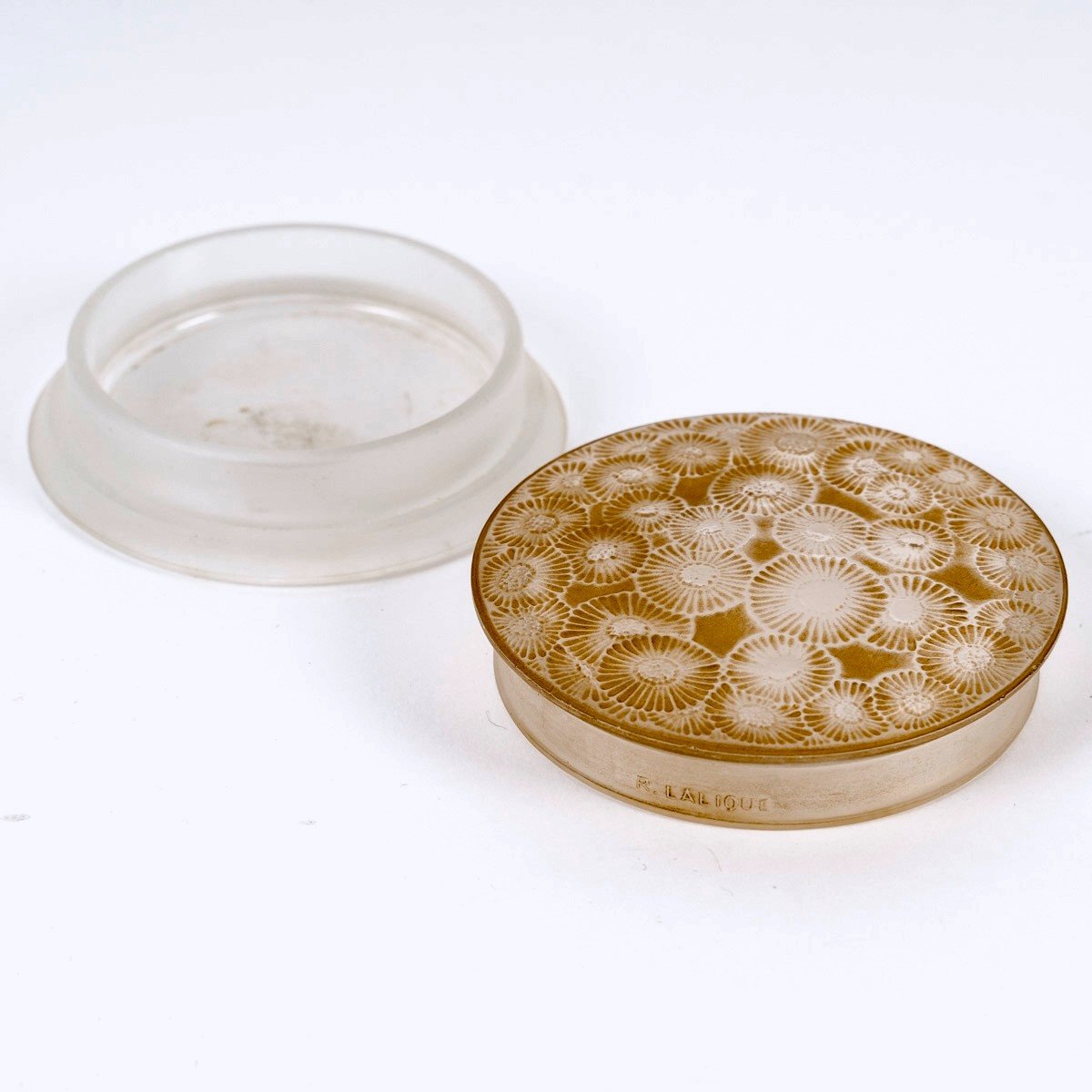 1920 René Lalique - Boîte Marguerites Verre Blanc Patiné Sépia-photo-3