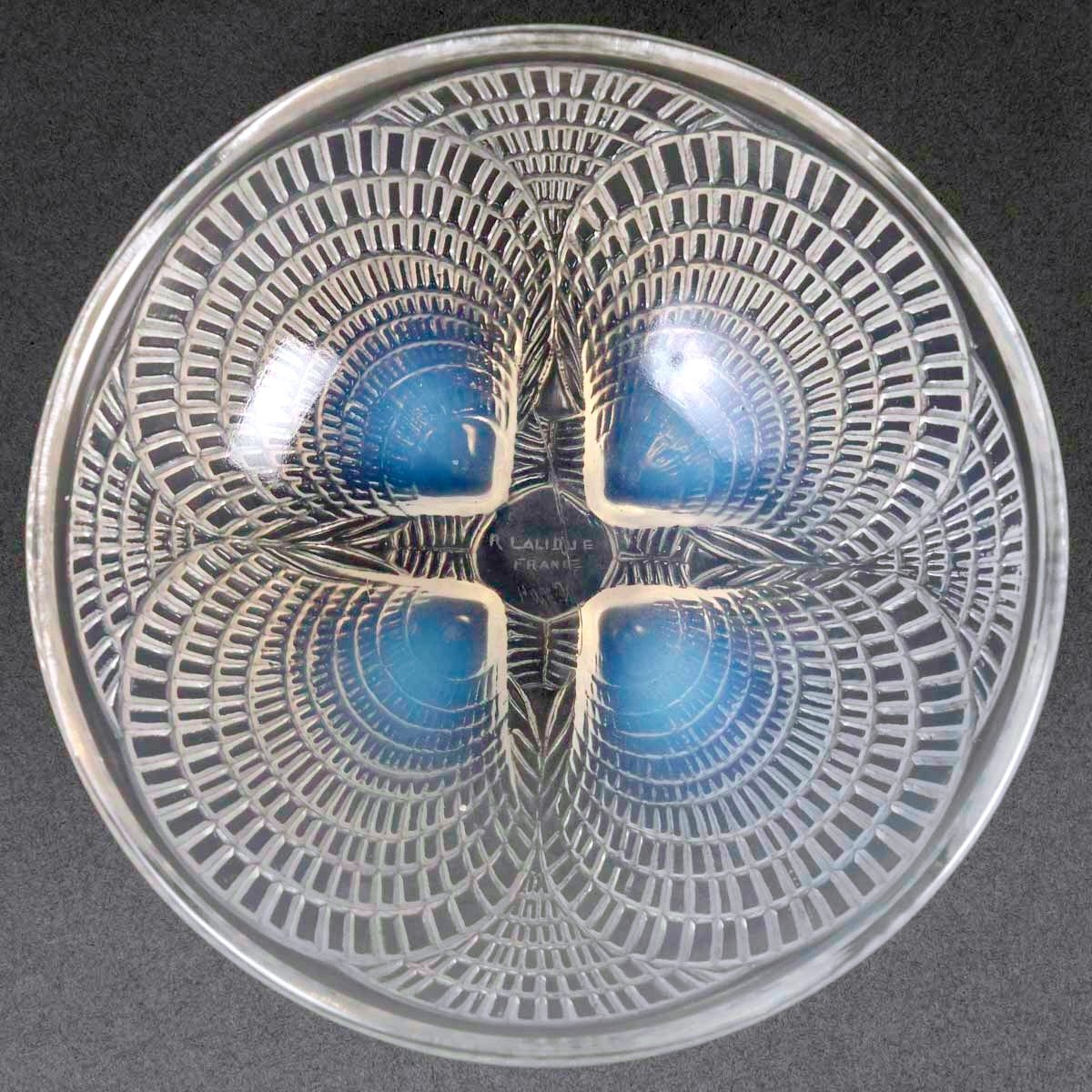 1924 René Lalique - Coquilles Dishes 8 Bowls Cups And 8 Plates Opalescent Glass-photo-1