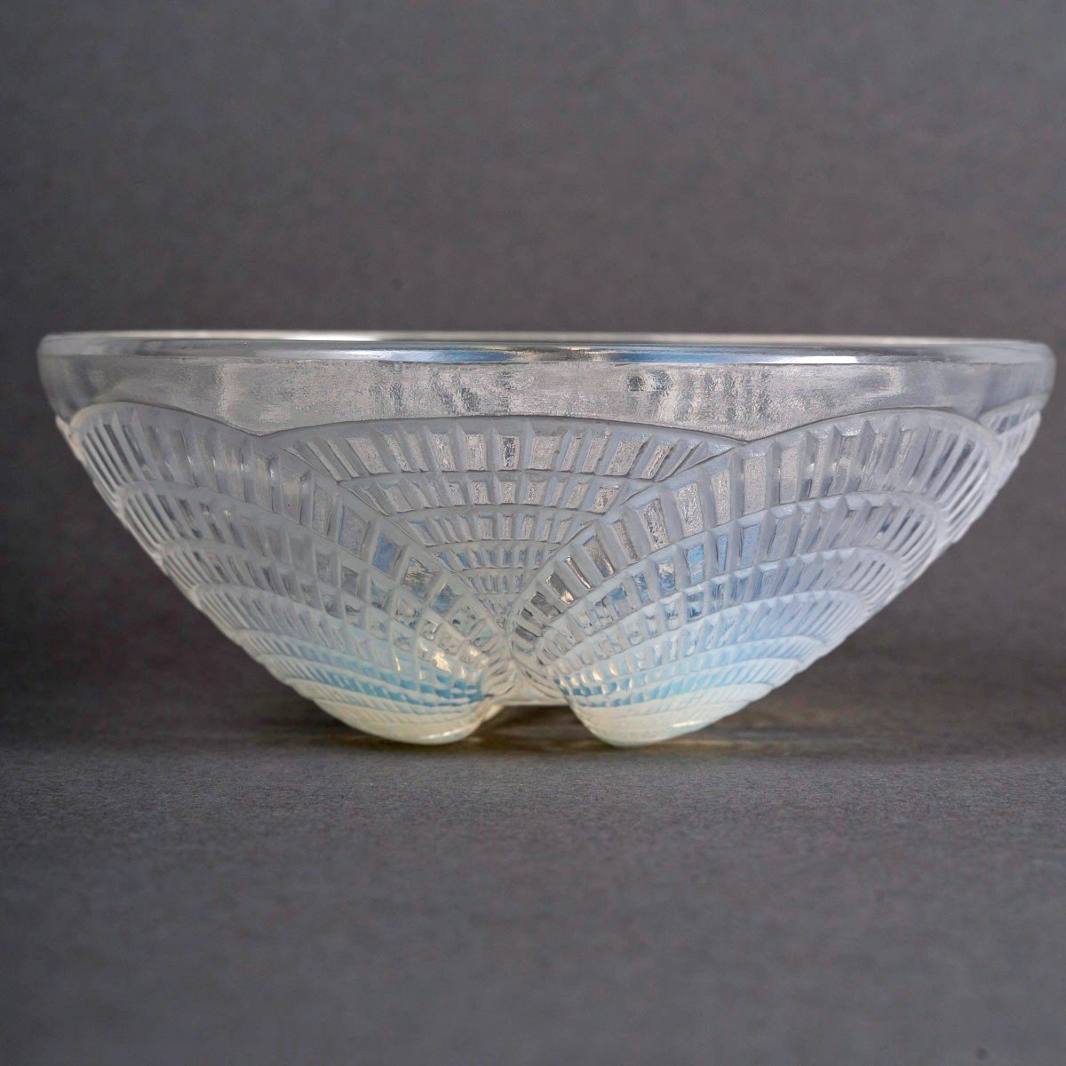 1924 René Lalique - Coquilles Dishes 8 Bowls Cups And 8 Plates Opalescent Glass-photo-2