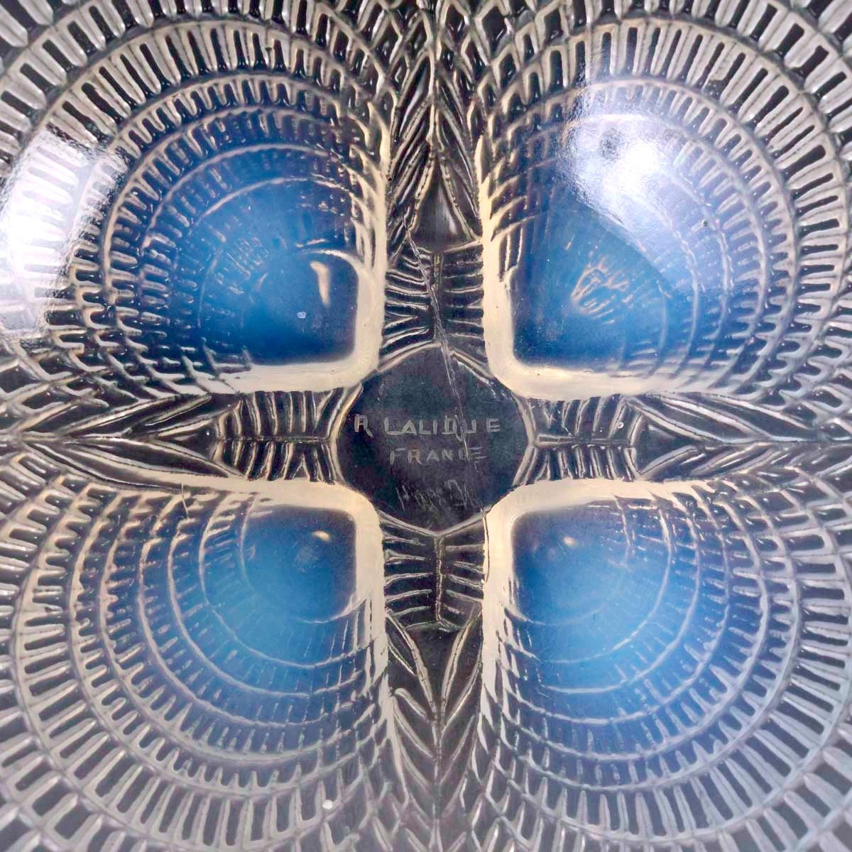 1924 René Lalique - Coquilles Dishes 8 Bowls Cups And 8 Plates Opalescent Glass-photo-3