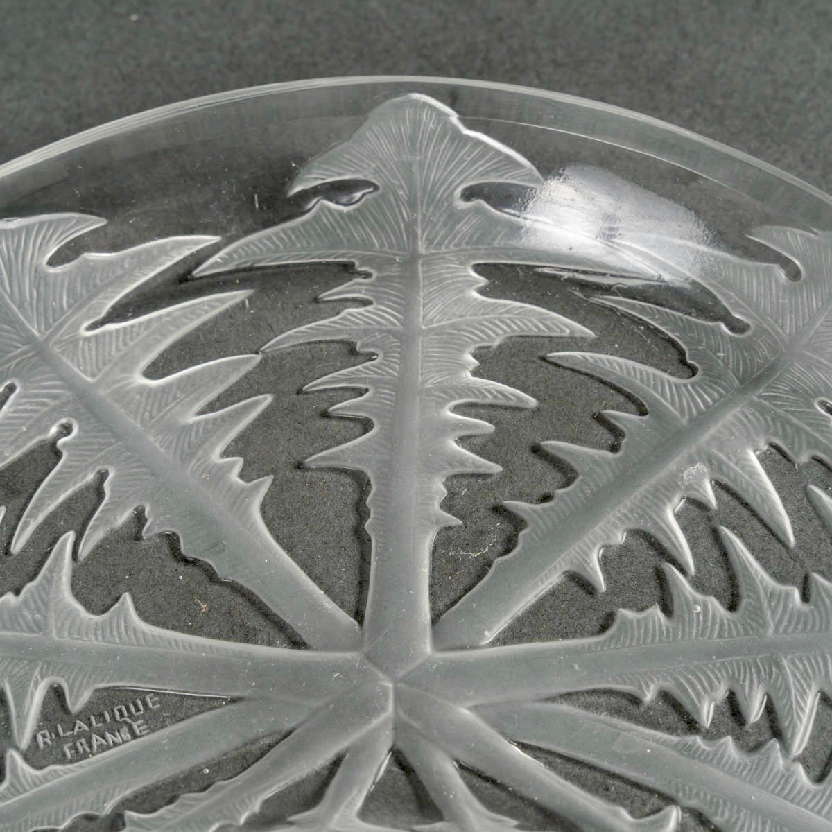 1924 Rene Lalique - 6 Salad Crescent Plates Pissenlit Dandelion Glass -photo-3