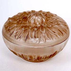 1911 René Lalique - Boîte Chrysanthème Verre Blanc Patiné Sépia