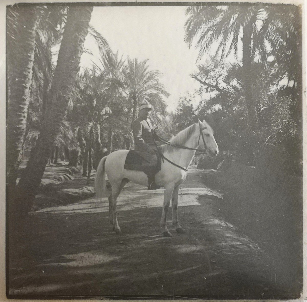 15 Glass Plates End Of 19th Century Afn Biskra Views And Portraits-photo-3