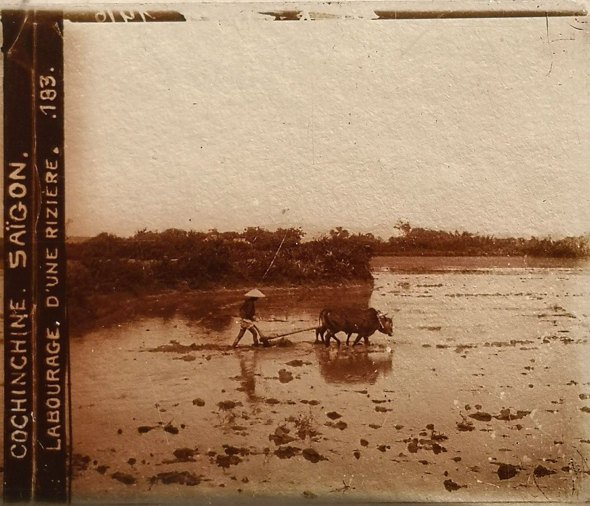 9 Glass Plates Stereoscopic Slides End Of 19th Century Cochinchina Tonkin Angkor-photo-5