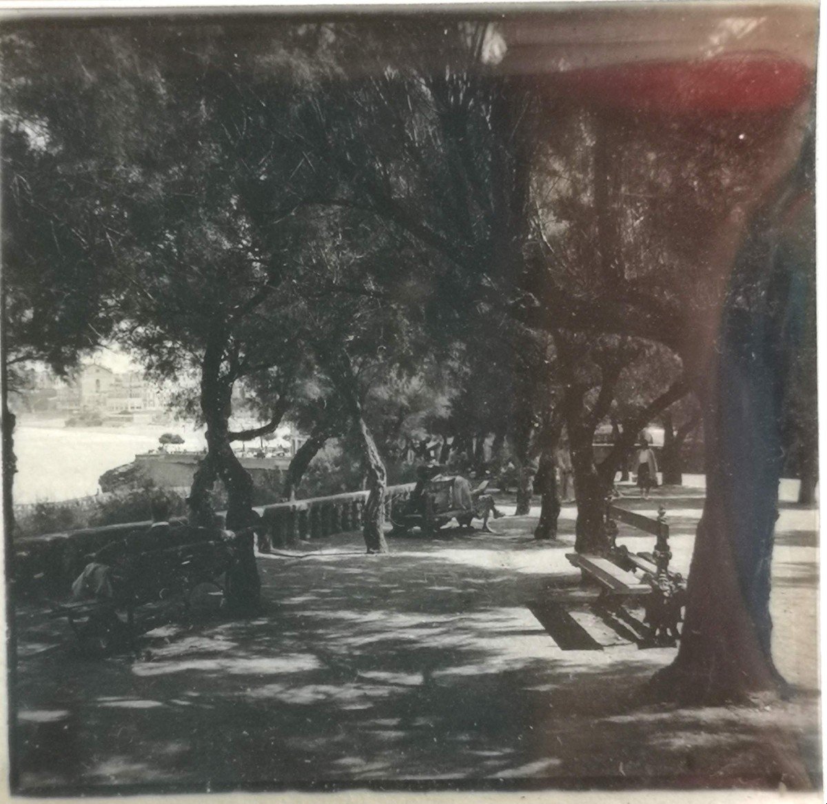 Lot 11 Stereo Views On Celluloid 1st Third XX° Biarritz-photo-6