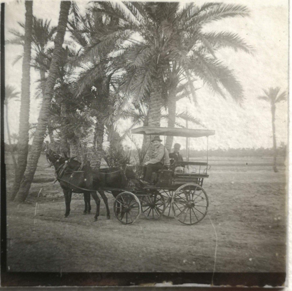 34 Glass Plates End Of 19th Century Beginning Of 20th Century Stereo Views Algeria Light Plates -photo-3