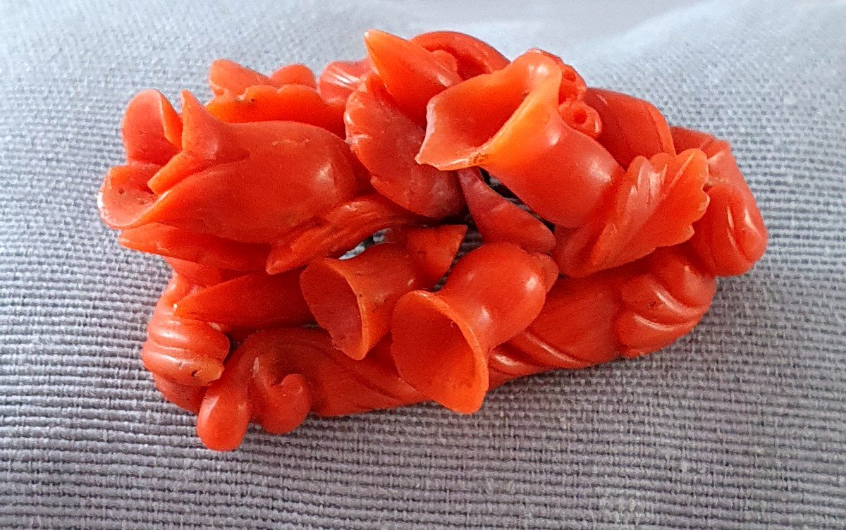 19th Century- Victorian Period  Coral Brooch -photo-4