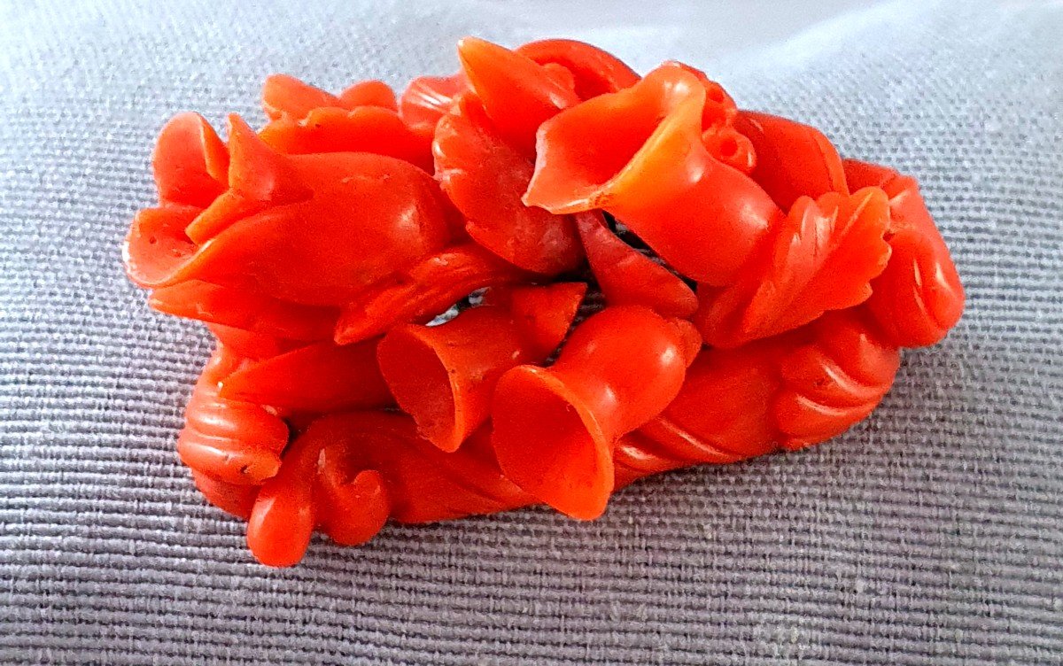 19th Century- Victorian Period  Coral Brooch 