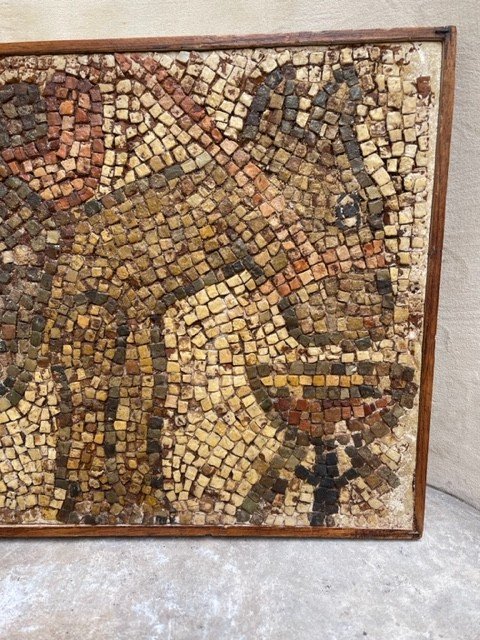 Mosaïque Méditerranéenne Polychrome Représentant Un âne-photo-4