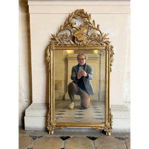 Carved And Gilded Wooden Mirror 