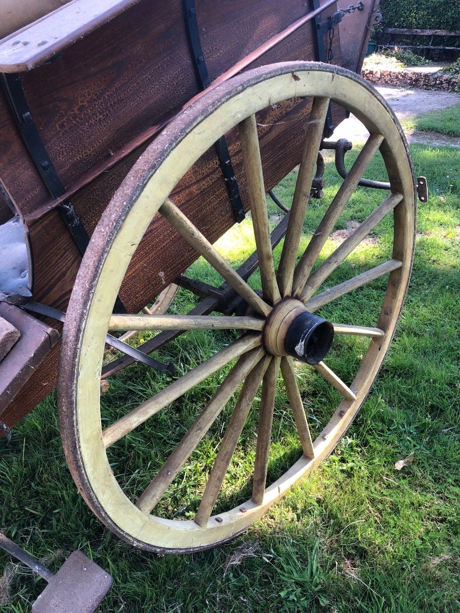 Old Cart XIXth Horse-drawn Carriage - Carriage - Carriage-photo-2