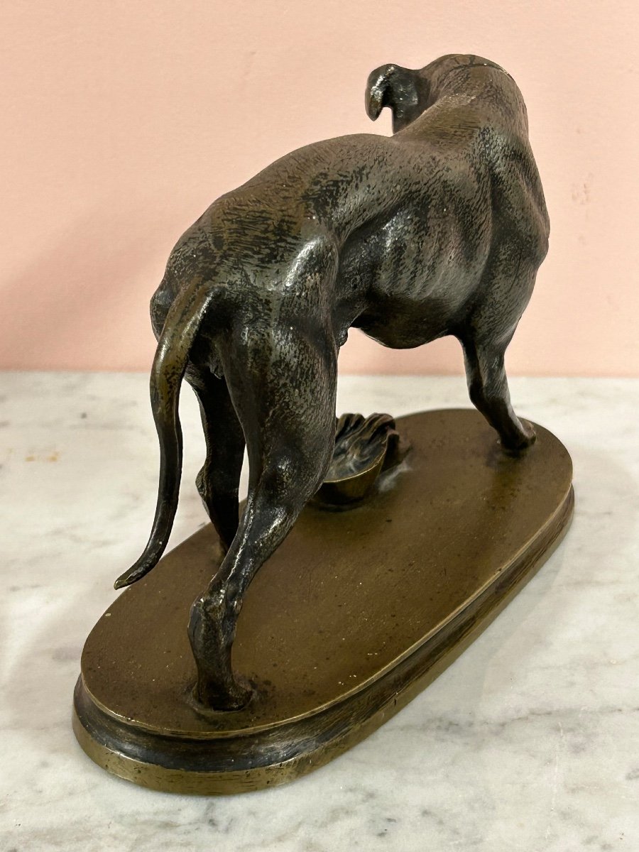 Small Bronze With Two Patina Late Nineteenth "the Injured Doggy Style"-photo-1