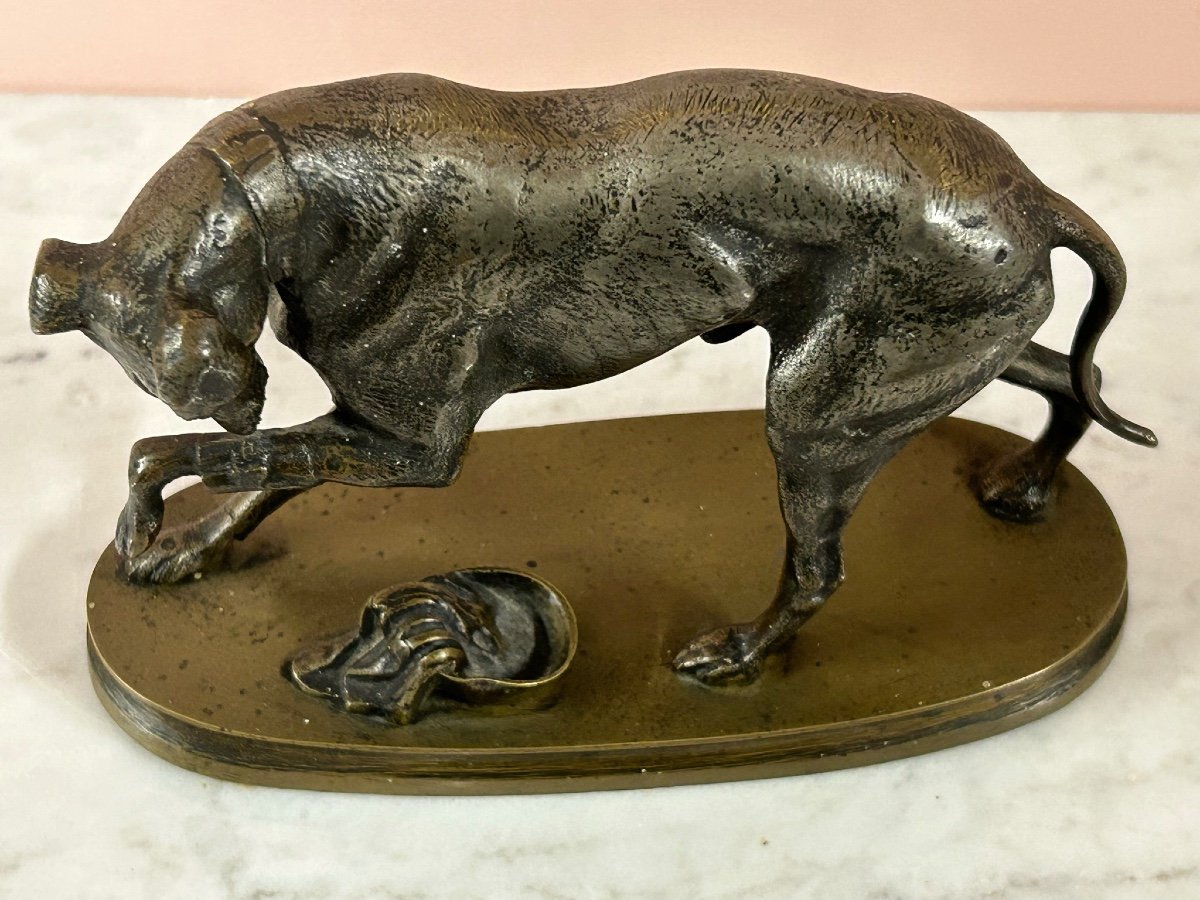 Petite Bronze à Deux Patine  Fin XIXéme «  La Levrette Blessée « chien en bronze-photo-5