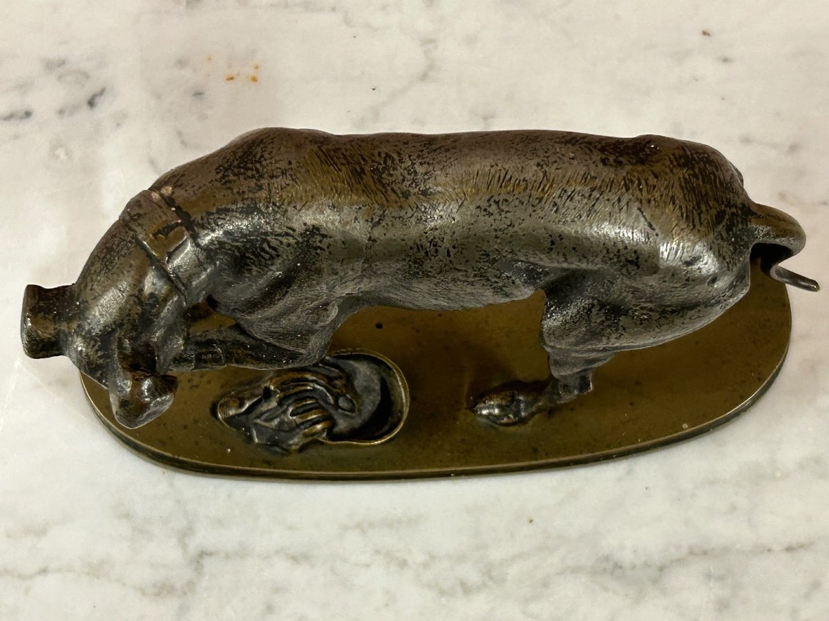 Small Bronze With Two Patina Late Nineteenth "the Injured Doggy Style"-photo-7