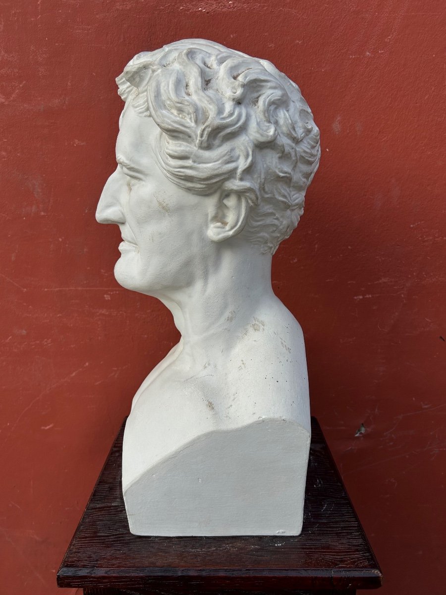  Georges Cuvier ((1769-1832) Anatomist - Library Bust In Plaster Late 19th Century No. 4 -photo-3
