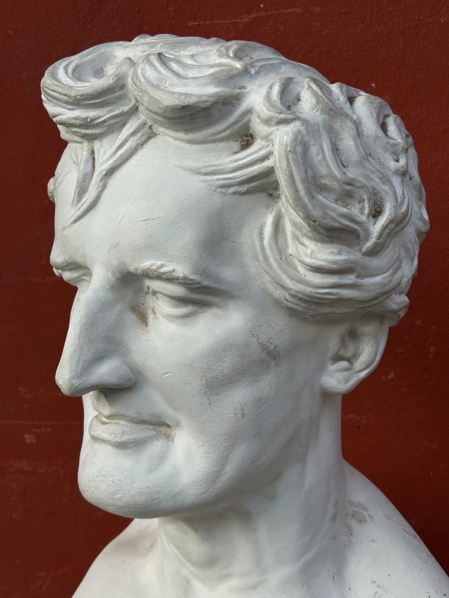  Georges Cuvier ((1769-1832) Anatomist - Library Bust In Plaster Late 19th Century No. 4 -photo-7