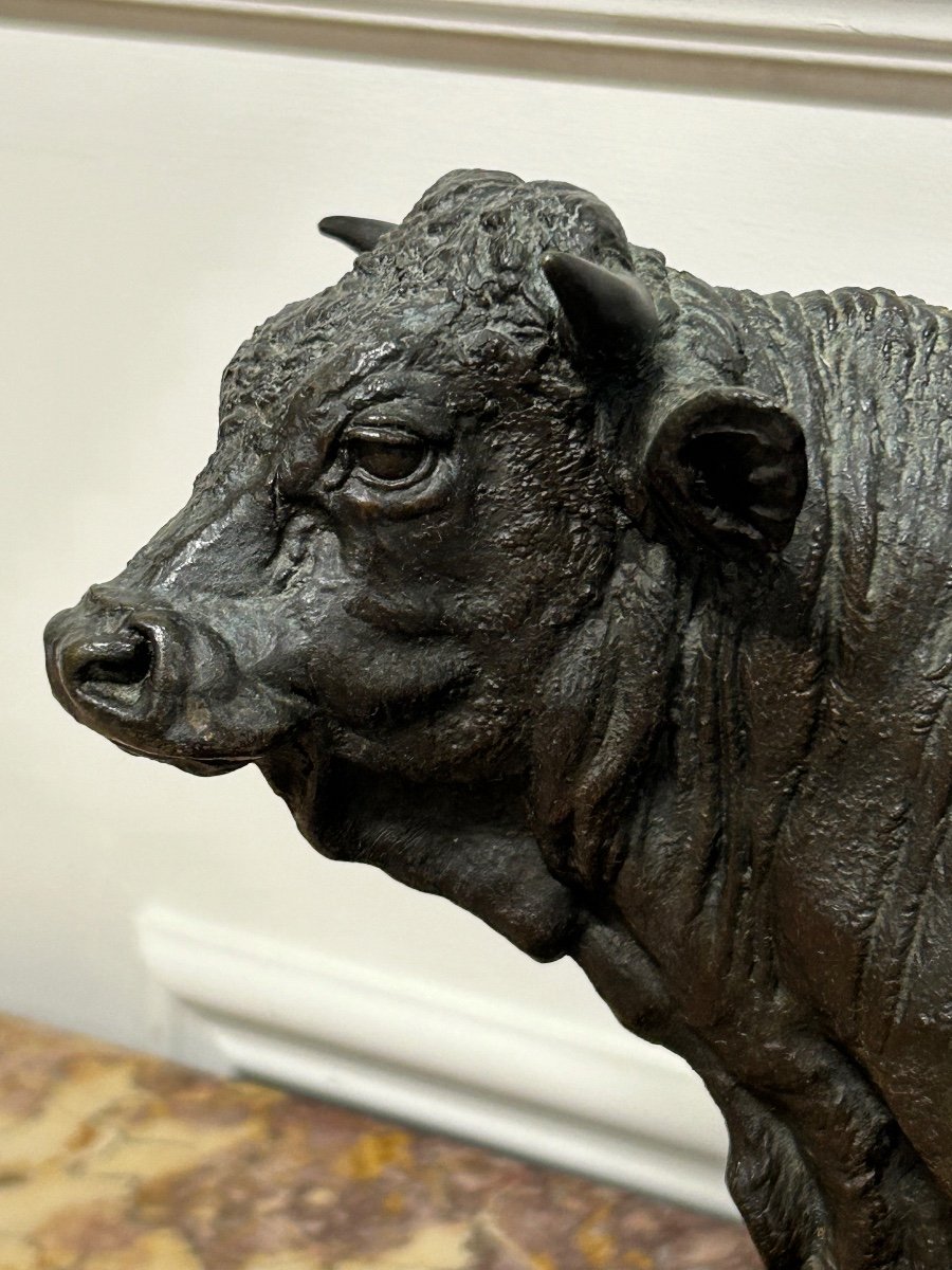 Pierre-jules Mène (1810-1879) The Norman Bull - 19th Century Bronze Sculpture -photo-2