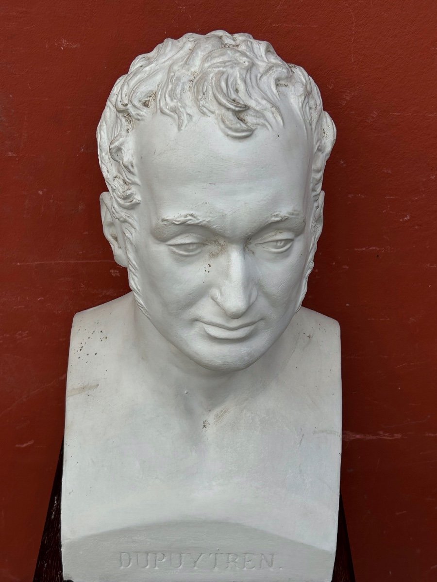 Baron Guillaume Dupuytren (1777- 1835) Buste De Bibliothèque En Plâtre - Anatomiste, Chirurgien N°5-photo-7