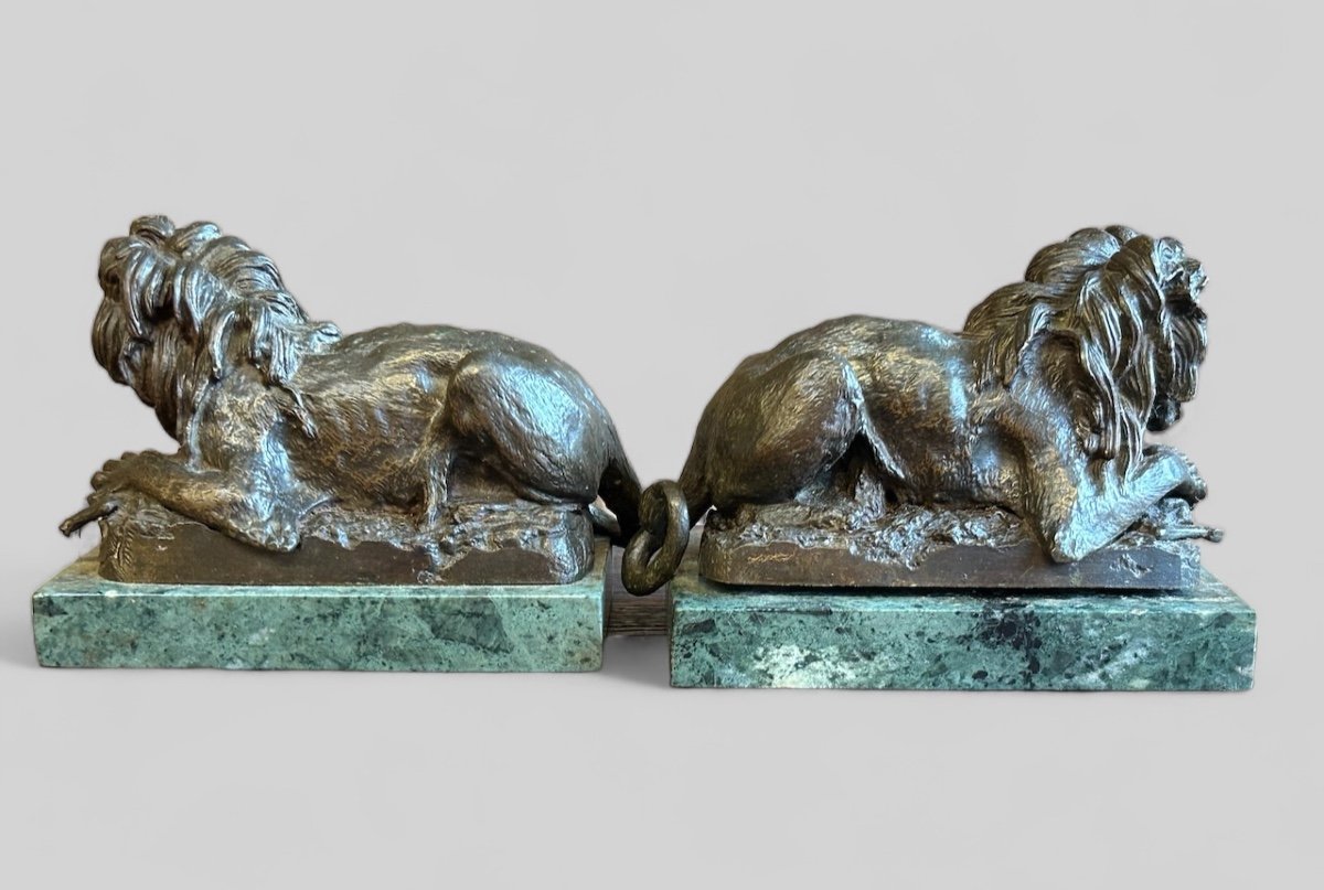 Pair Of Lions In Bronze XIX Period Marble Bases-photo-3